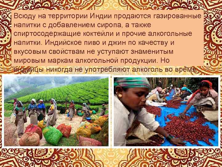 Всюду на территории Индии продаются газированные напитки с добавлением сиропа, а также спиртосодержащие коктейли