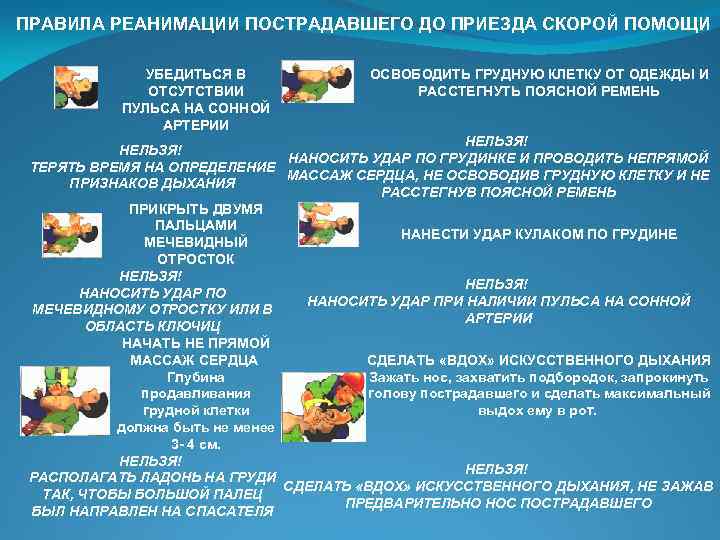 ПРАВИЛА РЕАНИМАЦИИ ПОСТРАДАВШЕГО ДО ПРИЕЗДА СКОРОЙ ПОМОЩИ УБЕДИТЬСЯ В ОТСУТСТВИИ ПУЛЬСА НА СОННОЙ АРТЕРИИ