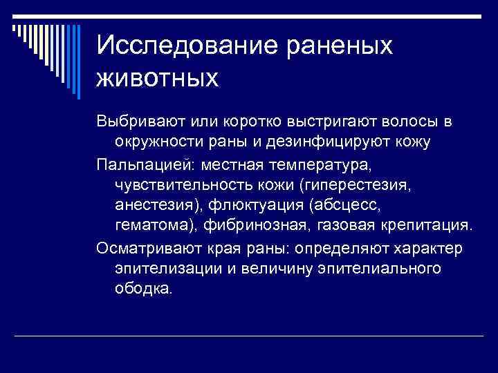 Исследование раненых животных Выбривают или коротко выстригают волосы в окружности раны и дезинфицируют кожу