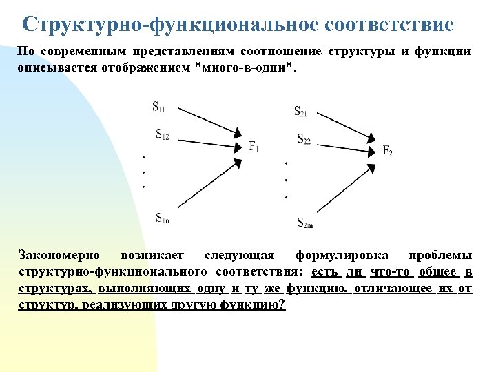 Структурно-функциональное соответствие По современным представлениям соотношение структуры и функции описывается отображением "много-в-один". Закономерно возникает