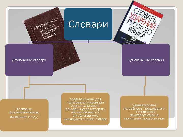 Словари Двуязычные словари (толковые, фразеологические, синонимов и т. д. ) Одноязычные словари предназначены для