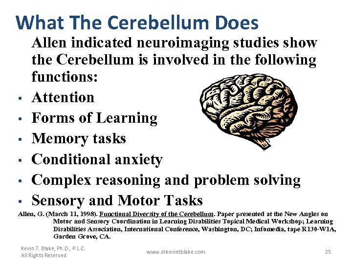 What The Cerebellum Does • • • Allen indicated neuroimaging studies show the Cerebellum