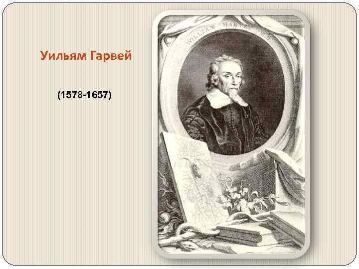 Уильям Гарвей (1578 -1657) 