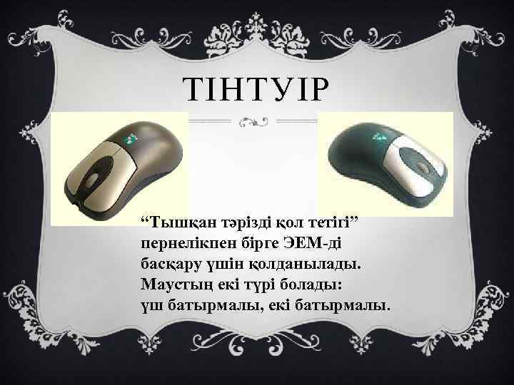 ТІНТУІР “Тышқан тәрізді қол тетігі” пернелікпен бірге ЭЕМ-ді басқару үшін қолданылады. Маустың екі түрі