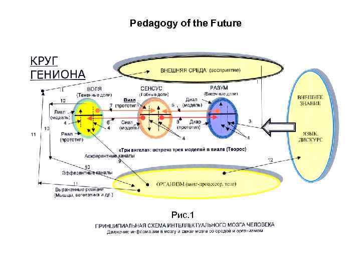 Pedagogy of the Future Рис. 1 