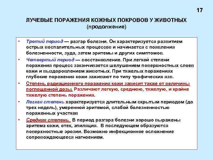 Первая помощь при лучевых ожогах. Стадии радиационного поражения. Лучевые поражения 3 степени. Лучевые поражения животных. Степени поражения кожных покровов.