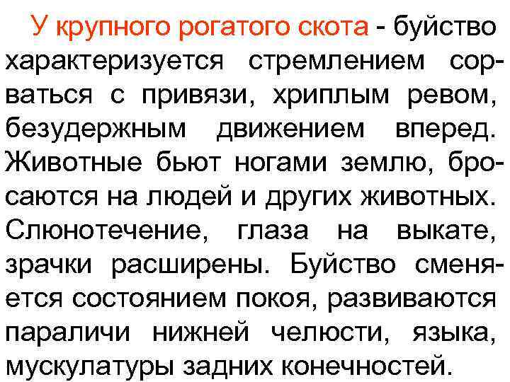У крупного рогатого скота - буйство характеризуется стремлением сорваться с привязи, хриплым ревом, безудержным