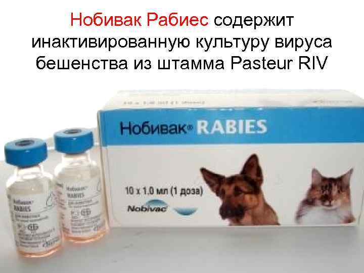 Нобивак Рабиес содержит инактивированную культуру вируса бешенства из штамма Pasteur RIV 