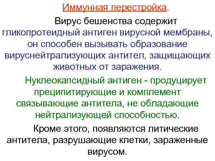 Иммунная перестройка. Вирус бешенства содержит гликопротеидный антиген вирусной мембраны, он способен вызывать образование вируснейтрализующих