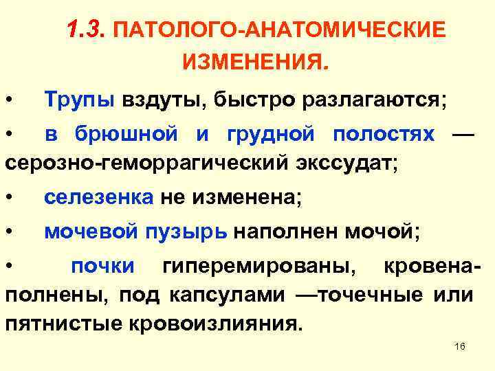 1. 3. ПАТОЛОГО-АНАТОМИЧЕСКИЕ ИЗМЕНЕНИЯ. • Трупы вздуты, быстро разлагаются; • в брюшной и грудной