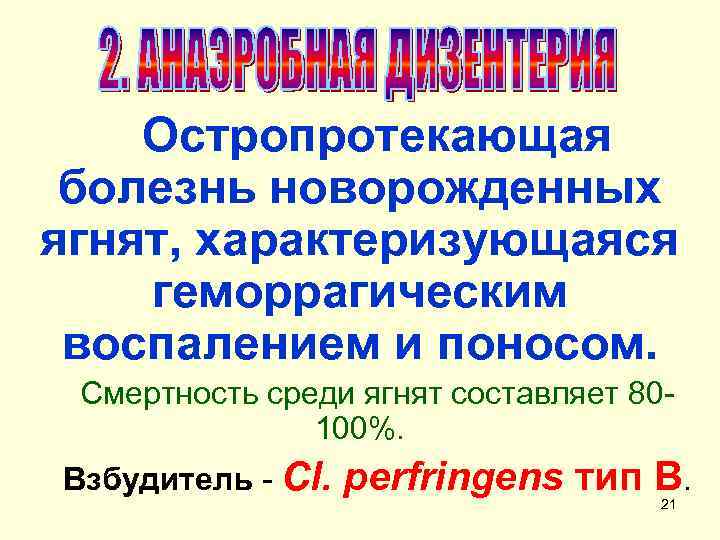 Остропротекающая болезнь новорожденных ягнят, характеризующаяся геморрагическим воспалением и поносом. Смертность среди ягнят составляет 80100%.