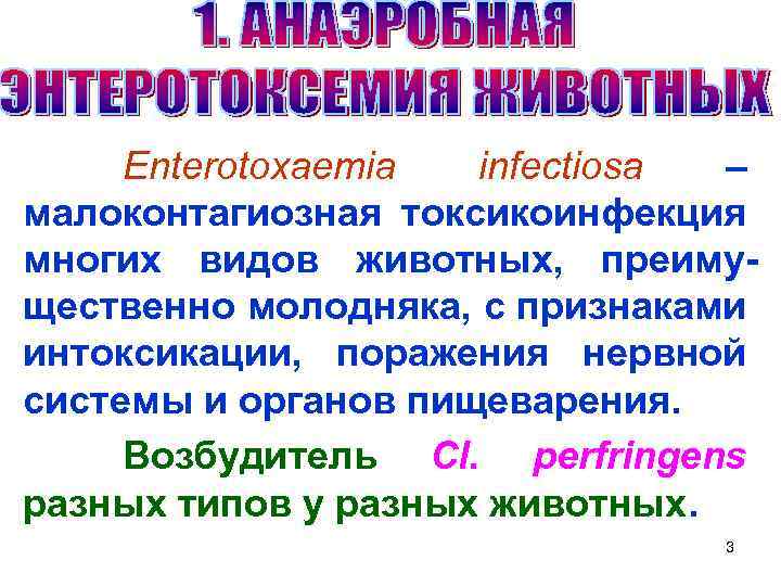 Enterotoxaemia infectiosa – малоконтагиозная токсикоинфекция многих видов животных, преимущественно молодняка, с признаками интоксикации, поражения