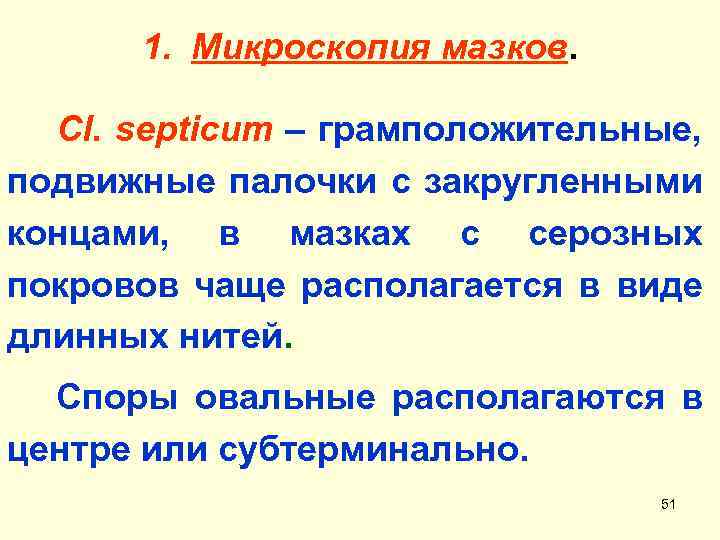 1. Микроскопия мазков. Cl. septicum – грамположительные, подвижные палочки с закругленными концами, в мазках
