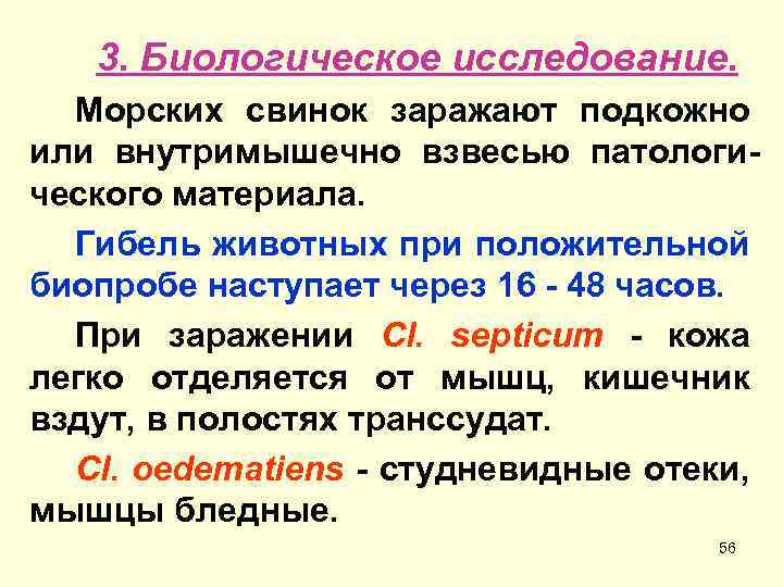 3. Биологическое исследование. Морских свинок заражают подкожно или внутримышечно взвесью патологического материала. Гибель животных