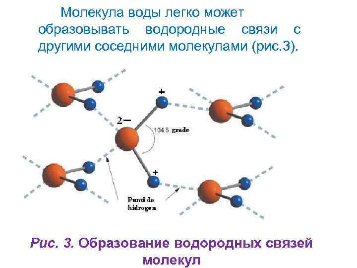 Характеристика молекул