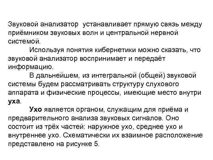 Звуковой анализатор устанавливает прямую связь между приёмником звуковых волн и центральной нервной системой. Используя