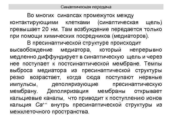 Синаптическая передача Во многих синапсах промежуток между контактирующими клетками (синаптическая щель) превышает 20 нм.