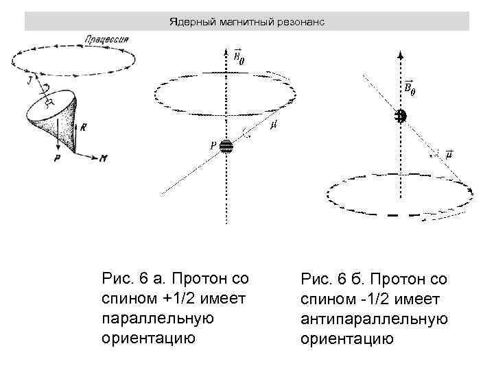 Магнитный резонанс. Магнитный момент ЯМР. Опишите принцип ядерного магнитного резонанса. 3.1. Ядерный магнитный резонанс. Протон магнитный резонанс.