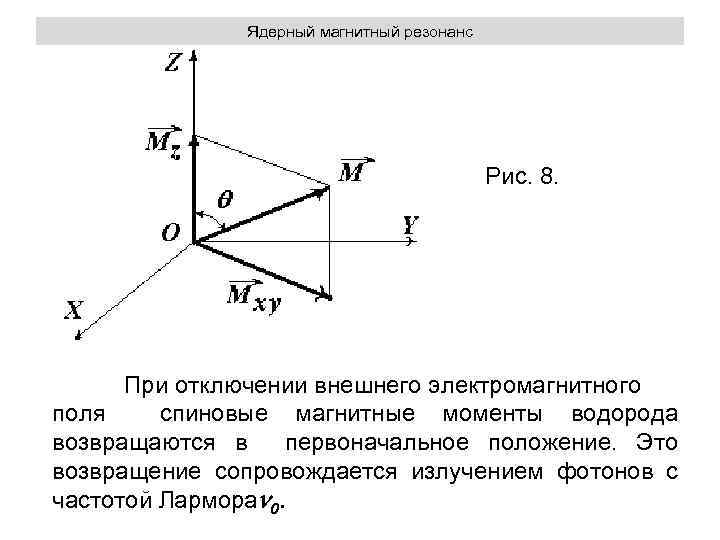 Ядерный магнитный резонанс Рис. 8. При отключении внешнего электромагнитного поля спиновые магнитные моменты водорода