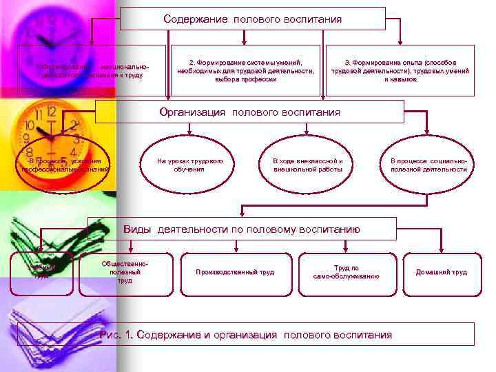 Содержание полового воспитания 1. Формирование эмоциональноценностного отношения к труду 2. Формирование системы умений, необходимых