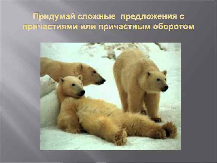 Придумай сложные предложения с причастиями или причастным оборотом 