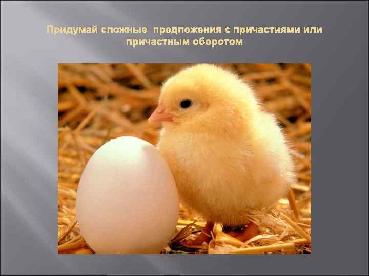 Придумай сложные предложения с причастиями или причастным оборотом 