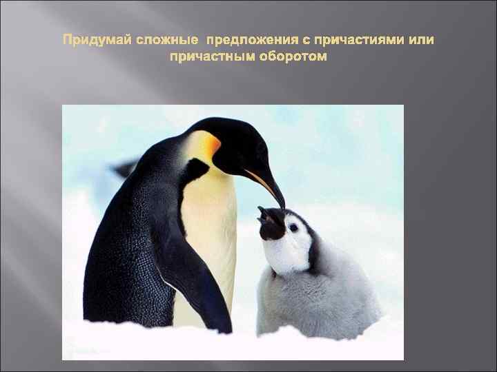 Придумай сложные предложения с причастиями или причастным оборотом 