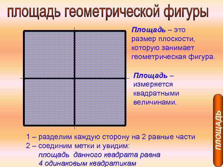 Площадь – это размер плоскости, которую занимает геометрическая фигура. 1 – разделим каждую сторону