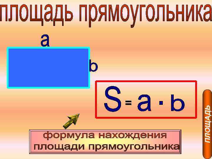 ПЛОЩАДЬ = 