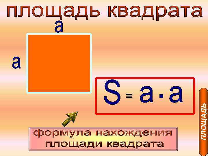 ПЛОЩАДЬ = 