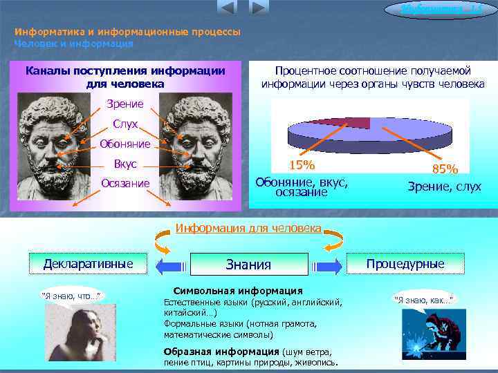 Информатика 1. 5 Информатика и информационные процессы Человек и информация Каналы поступления информации для