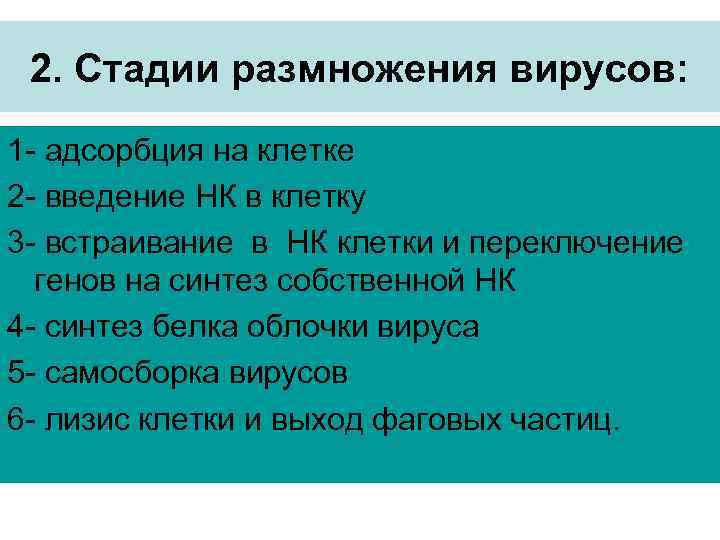 2. Стадии размножения вирусов: 1 - адсорбция на клетке 2 - введение НК в