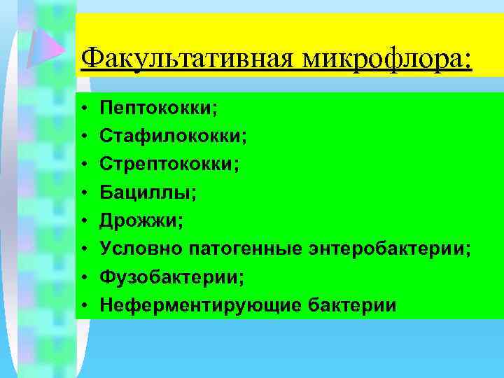 Факультативная микрофлора: • • Пептококки; Стафилококки; Стрептококки; Бациллы; Дрожжи; Условно патогенные энтеробактерии; Фузобактерии; Неферментирующие