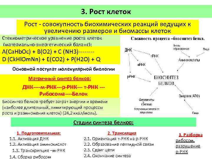 Клеточный рост характерен для