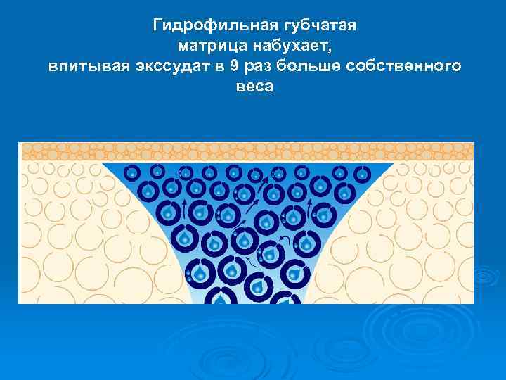 Гидрофильная губчатая матрица набухает, впитывая экссудат в 9 раз больше собственного веса 