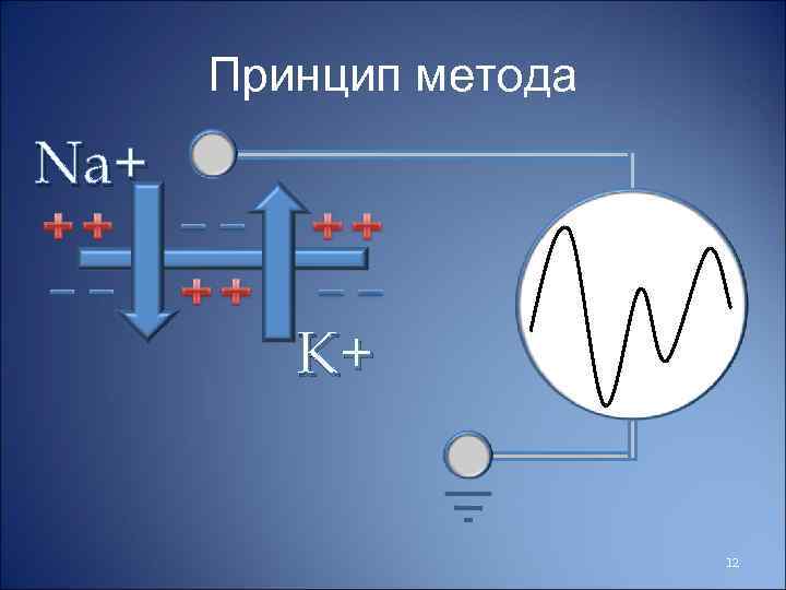 Принцип метода Na+ K+ 12 