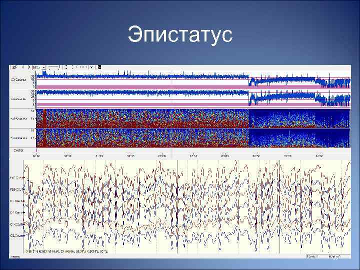 Эпистатус 19 