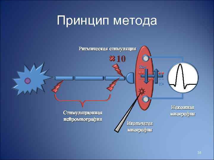Принцип метода Ритмическая стимуляция 10 Na+ K+ Стимуляционная нейромиография Накожная миография Игольчатая миография 38
