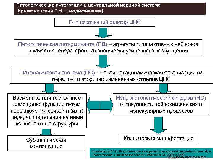 Схема механизмов формирования генератора патологически усиленного возбуждения