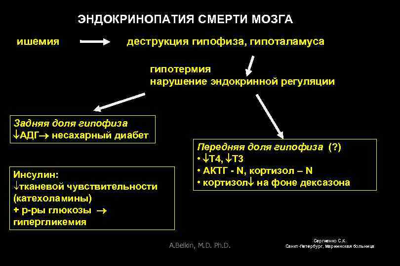 ЭНДОКРИНОПАТИЯ СМЕРТИ МОЗГА ишемия деструкция гипофиза, гипоталамуса гипотермия нарушение эндокринной регуляции Задняя доля гипофиза