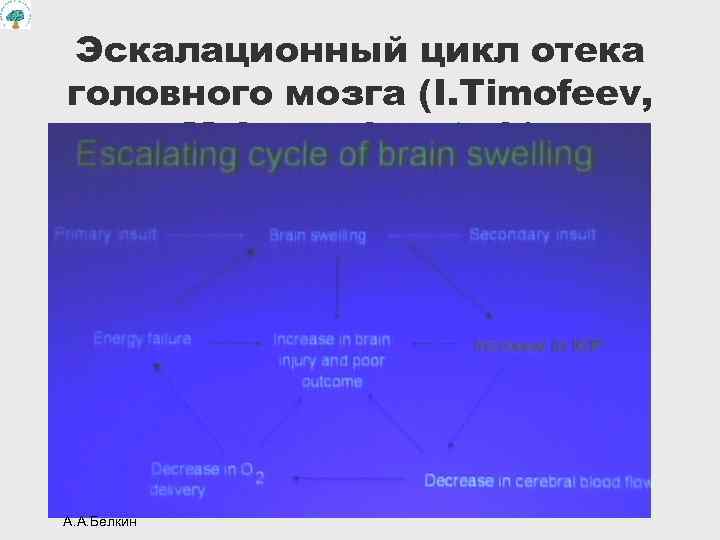 Эскалационный цикл отека головного мозга (I. Timofeev, M. Crosnyka et al. ) А. А.