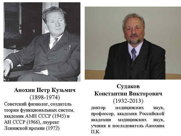 Анохин Петр Кузьмич (1898 -1974) Советский физиолог, создатель теории функциональных систем, академик АМН СССР
