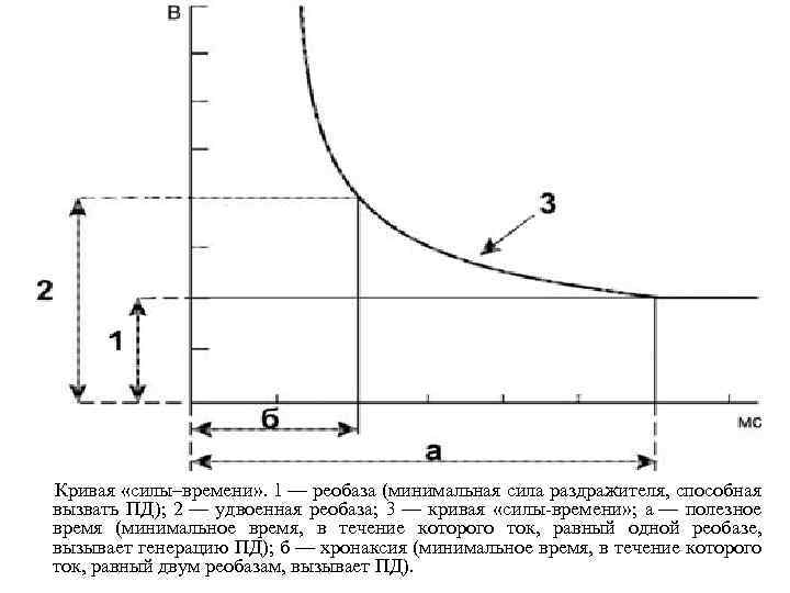 Закон силы времени. Кривая Гоорвега-Вейса-Лапика. Кривая «сила-Длительность». Реобаза, хронаксия, лабильность. Реобаза это минимальная сила. Кривая силы времени.