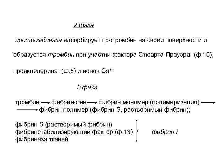  2 фаза протромбиназа адсорбирует протромбин на своей поверхности и образуется тромбин при участии