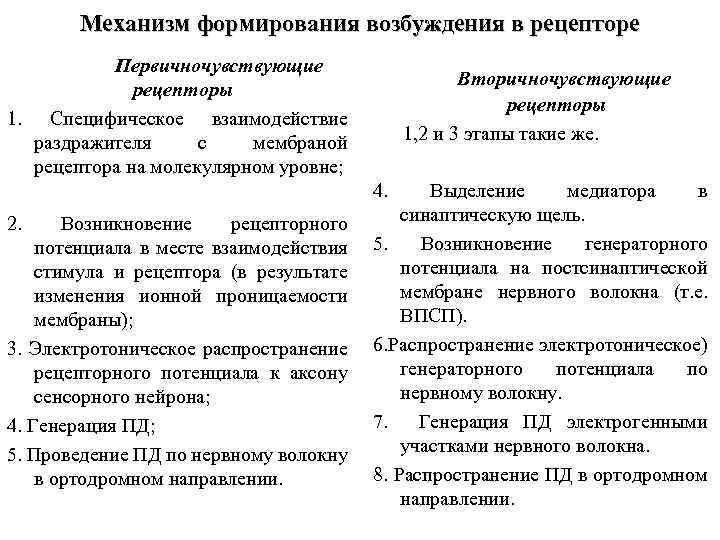 Механизм формирования возбуждения в рецепторе Первичночувствующие рецепторы 1. Специфическое взаимодействие раздражителя с мембраной рецептора