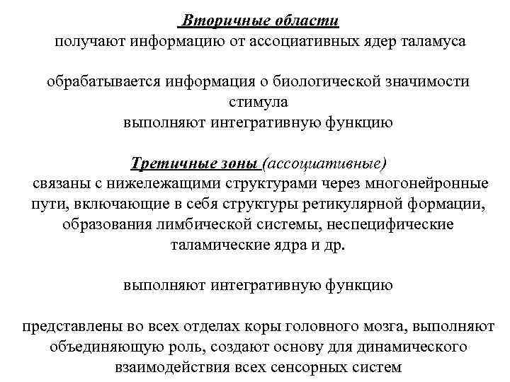 Вторичные области получают информацию от ассоциативных ядер таламуса обрабатывается информация о биологической значимости стимула