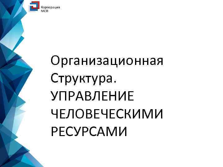 Организационная Структура. УПРАВЛЕНИЕ ЧЕЛОВЕЧЕСКИМИ РЕСУРСАМИ 