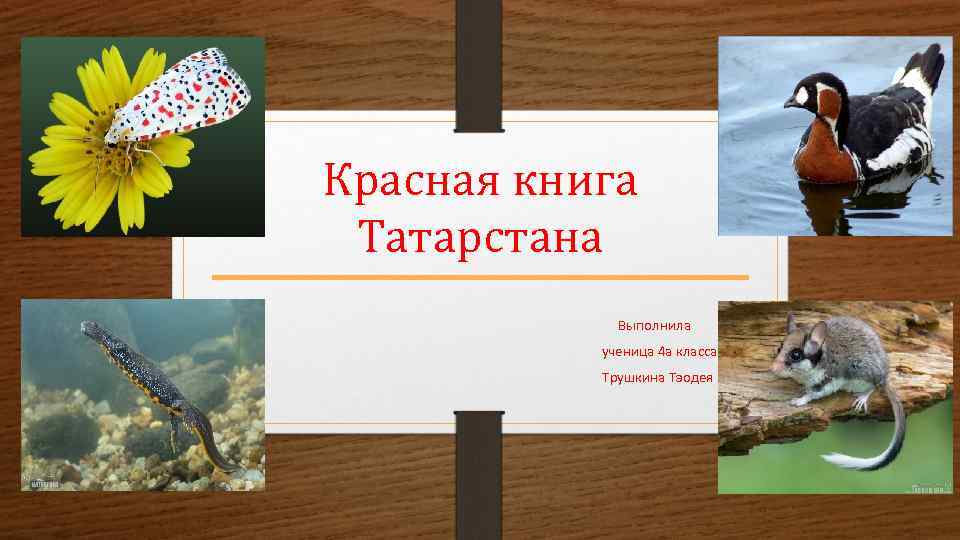 Красная книга Татарстана Выполнила ученица 4 а класса Трушкина Тэодея 