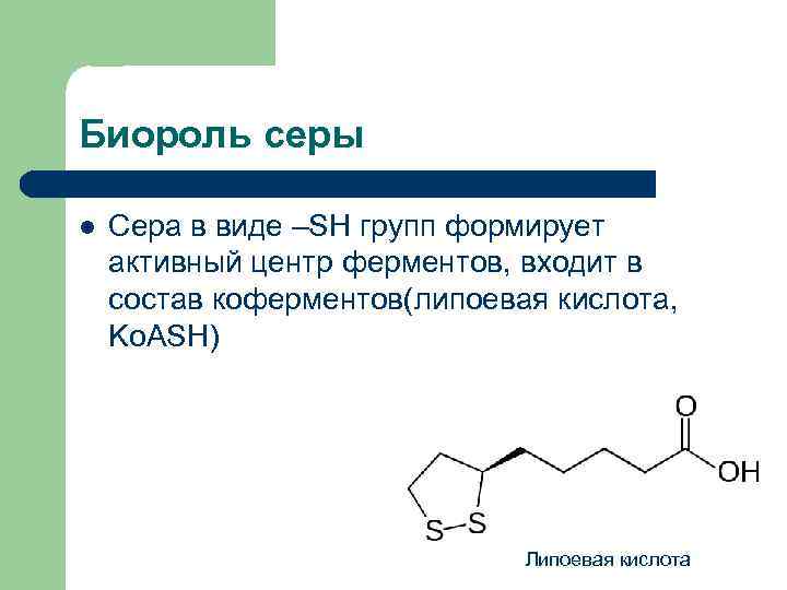 В состав кислот входит. Сера биогенный элемент. Биороль. Биороль серы. Липоевая кислота биороль.