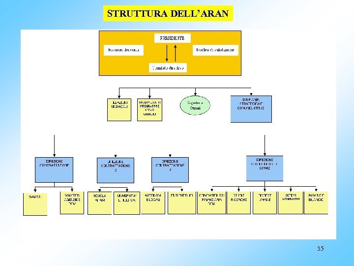 STRUTTURA DELL’ARAN 35 